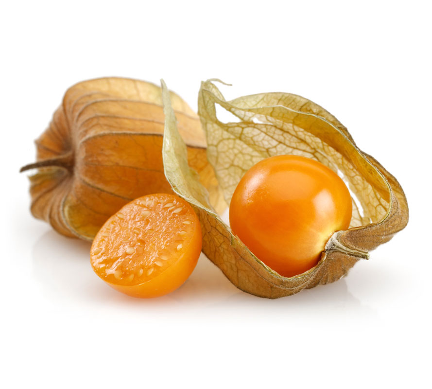 نهال فیسالیس